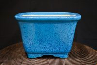 Japanese Bonsai Pot by SHUHO – 5 1/4″ – Wigert’s Bonsai Japanese Bonsai Pot by SHUHO – 5 1/4″ – Wigert’s Bonsai